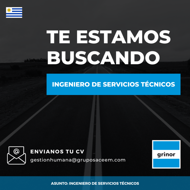 Ingeniero de servicios técnicos